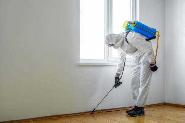 Best Bed Bug Extermination  in Larksville, PA